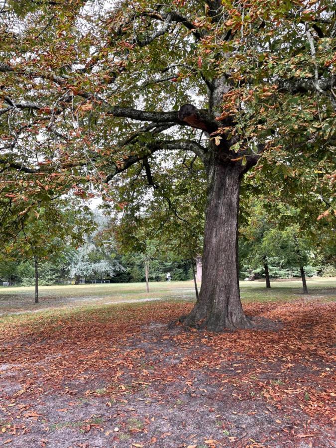 La Villa Bocage Bordeaux Dış mekan fotoğraf