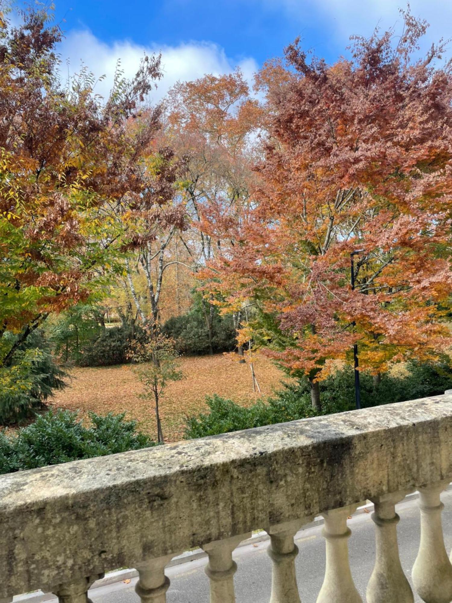 La Villa Bocage Bordeaux Dış mekan fotoğraf